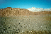 Negev Desert (click to enlarge)