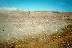 Negev Desert (click to enlarge)